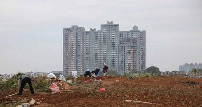 Anhui farm project