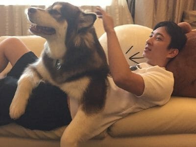 Wang Sicong just invested in co-working newcomer Kr Space and he'll be hoping its a dog friendly business